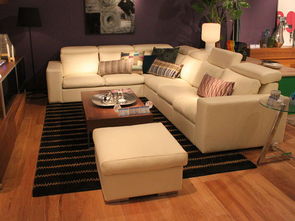 北欧风情进口皮沙发 精密设计力求舒适
